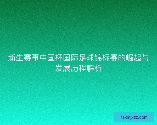 新生赛事中国杯国际足球锦标赛的崛起与发展历程解析